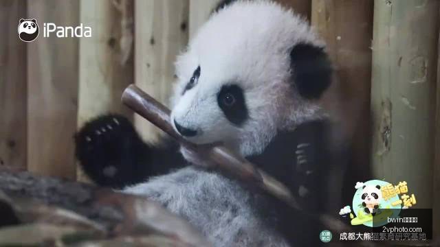 年足球规则,大更新,门将超时持,bwin中国官网,bwin体育,中国官网,bwin娱乐,体育投注